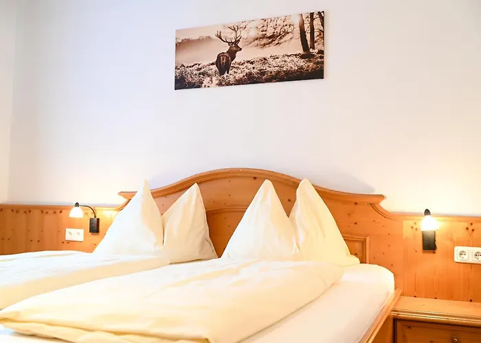 Ferienappartement Royer Apartment Schladming